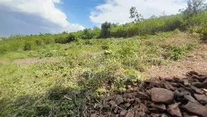 Plot for Sale in Ukweli, Kisumu, 0.15 Acre, Ready Title Deed.