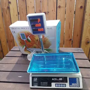 Acs 40 Led Display 40kgs Weight and Price Computing Scale