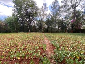 Karen Ndege Plot for Sale - thumbnail 2