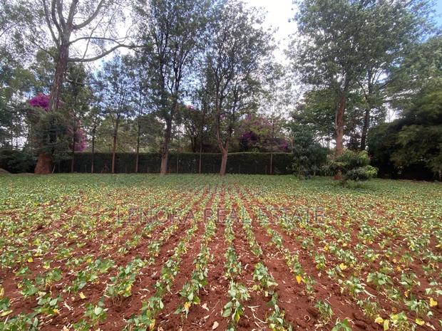 Karen Ndege Plot for Sale - thumbnail 4