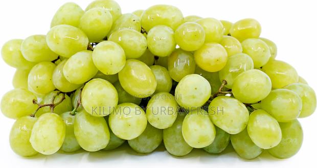 Cotton Candy Grapes Seedlings - thumbnail 2