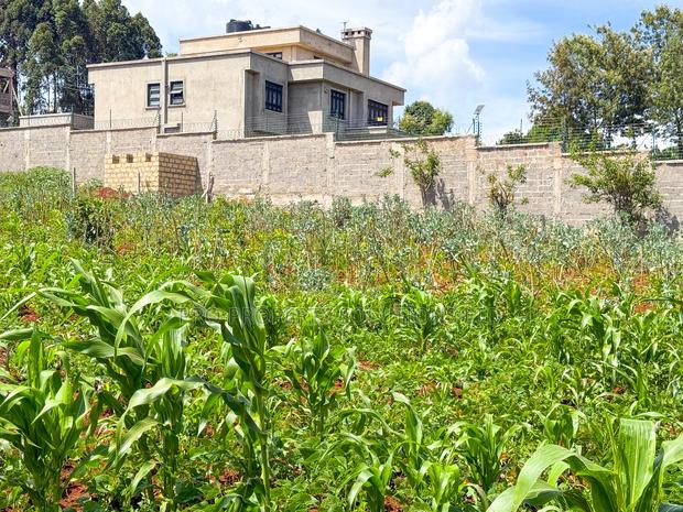 Prime Plot for Sale in Kikuyu,Gikambura