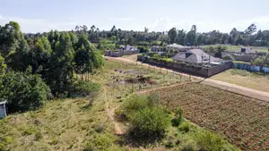 Prime Residential Plot for Sale in Kikuyu, Lusigetti