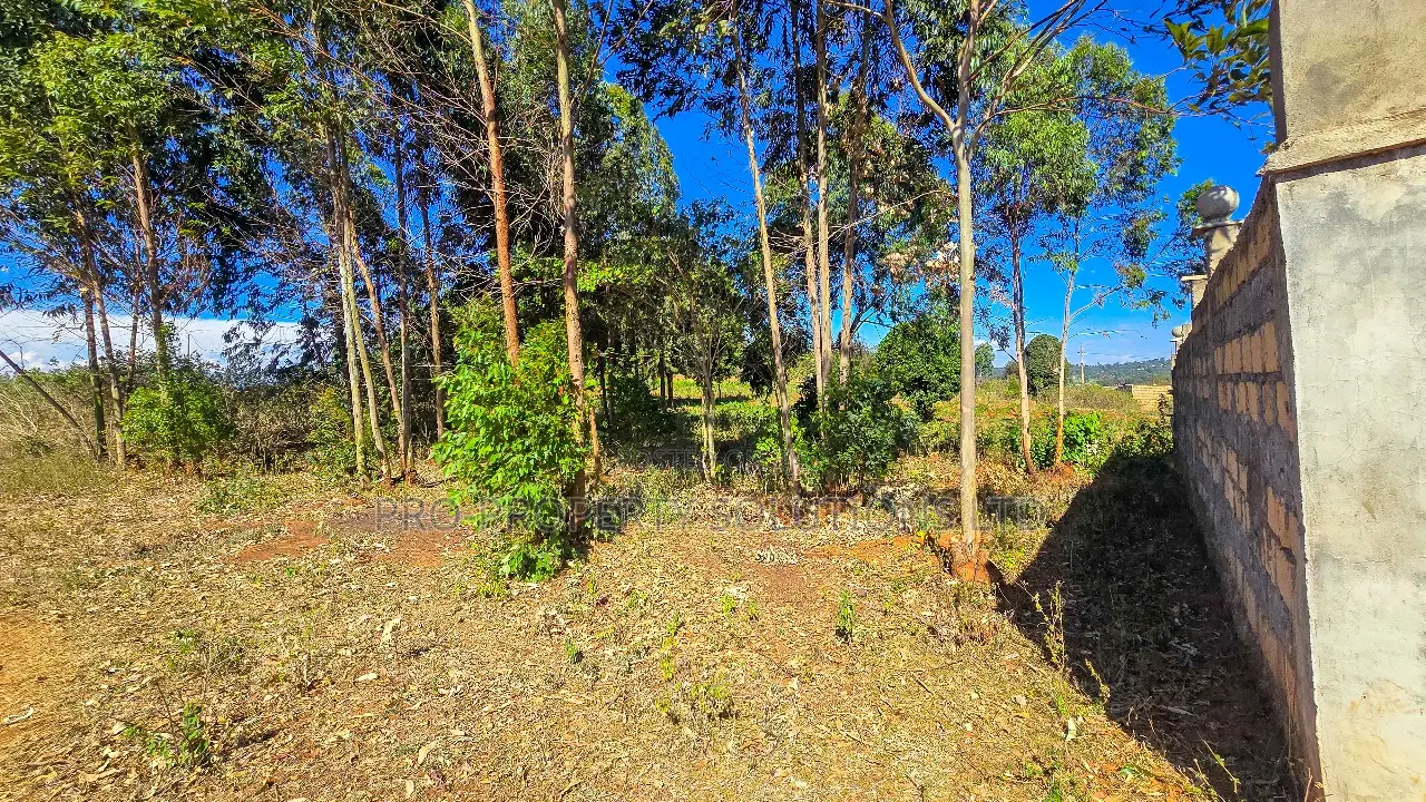Prime Residential Plot for Sale in Kikuyu, Lusigetti