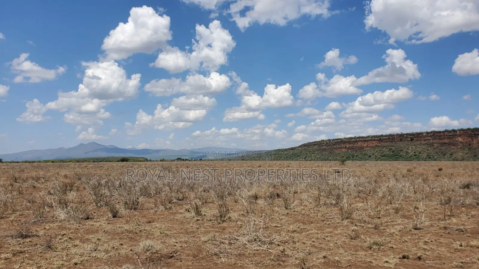 Tinga Acres With Installment Upto Six Months