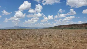 Tinga Acres With Installment Upto Six Months