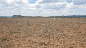 Tinga Acres With Installment Upto Six Months