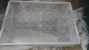 High-Quality Industrial Incubator Chicken Egg Hatching Basket-88 Eggs
