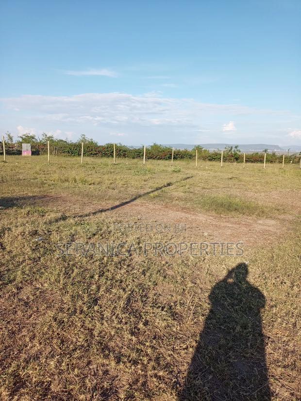 50 by 100 Plot in Muigai Estate - thumbnail 4