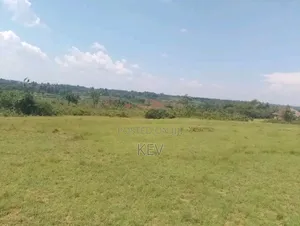 Lands for Sale