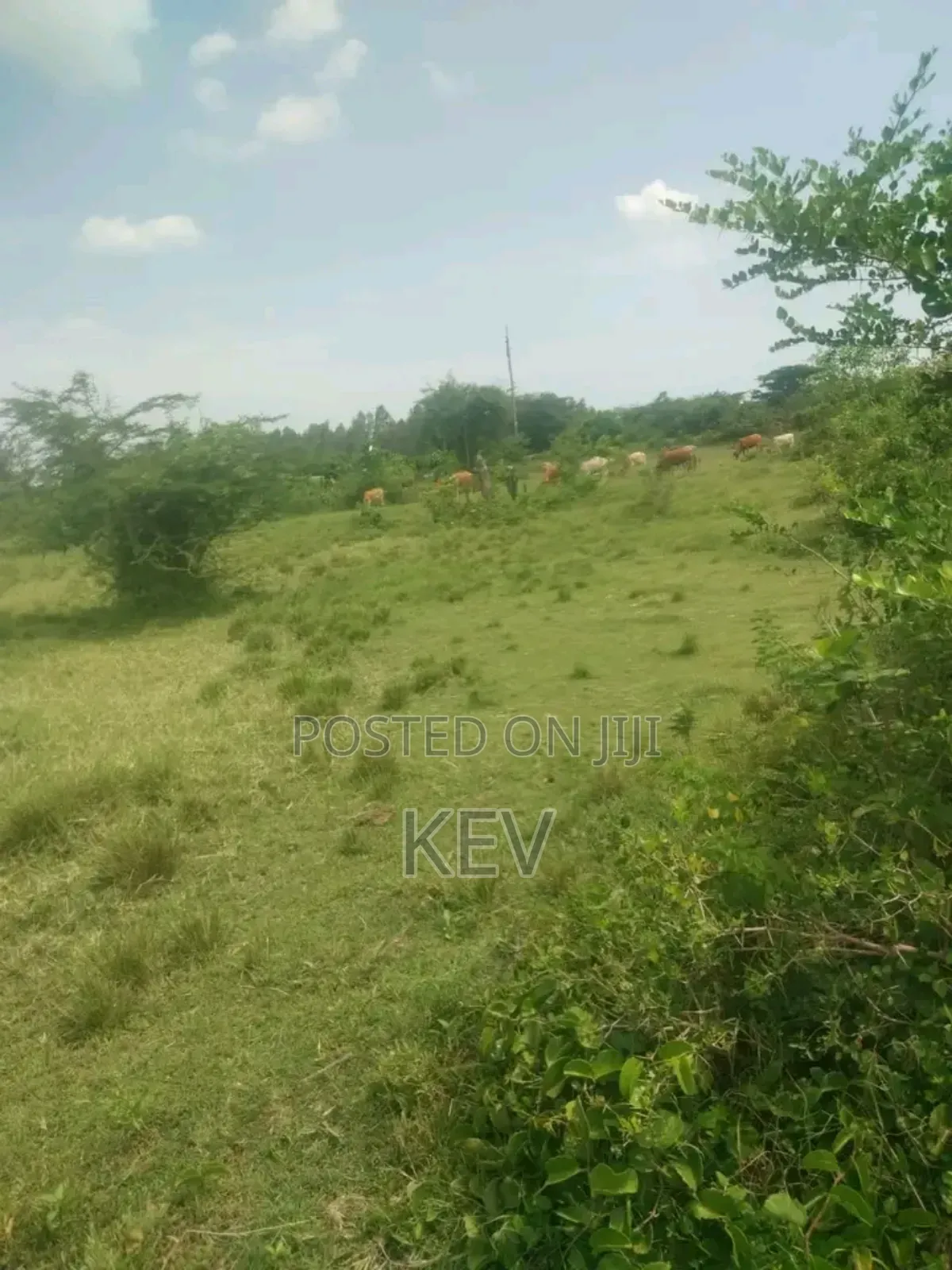 Lands for Sale