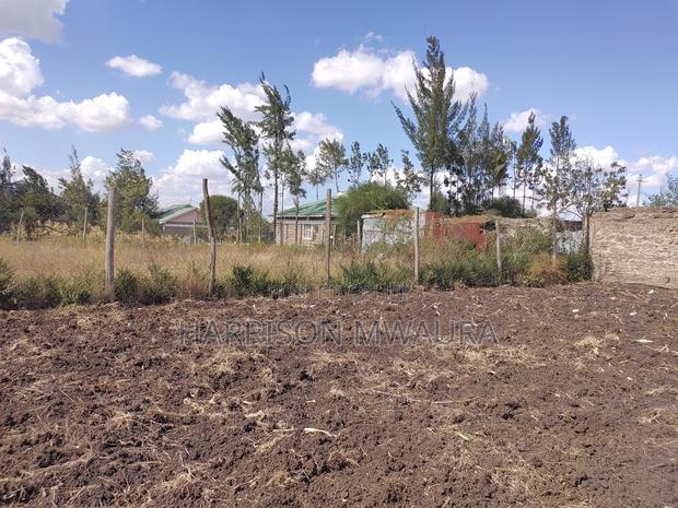Prime 1/4 Acre Plot – North View Estate, Utawala - thumbnail 4