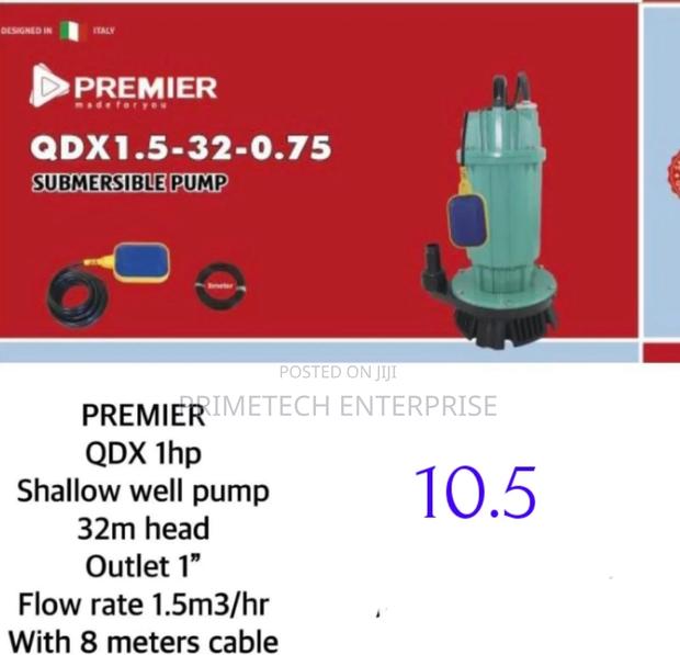 QDX 1hp Submersible Pump (New) - main view