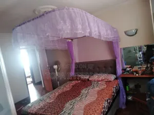 Beautiful Two Stand Track Mosquito Net Curtains Mesh