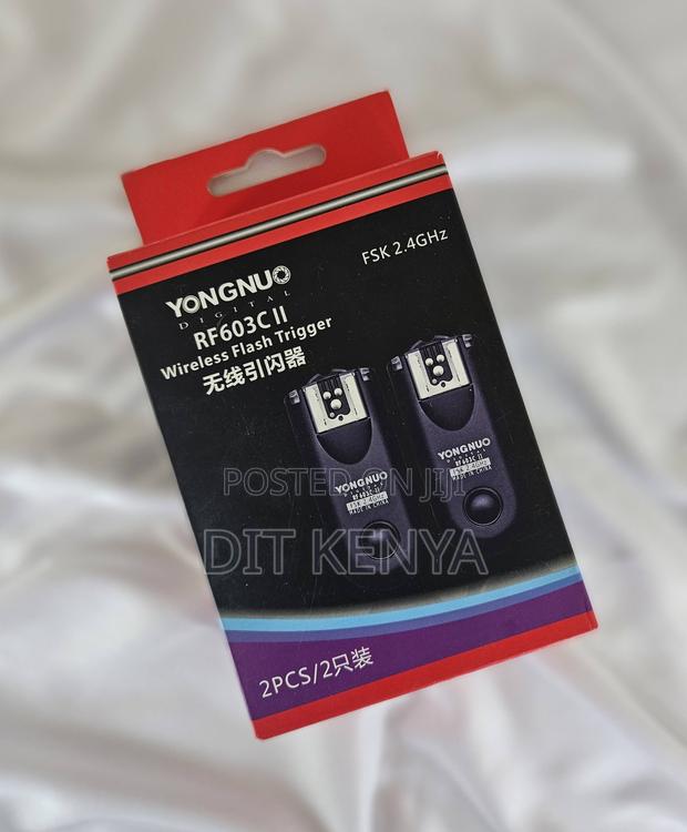 Yongnuo Rf603c11 Wireless Flash Trigger