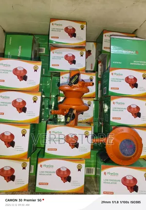 Pine Gas 13kg Regulator With Childlock