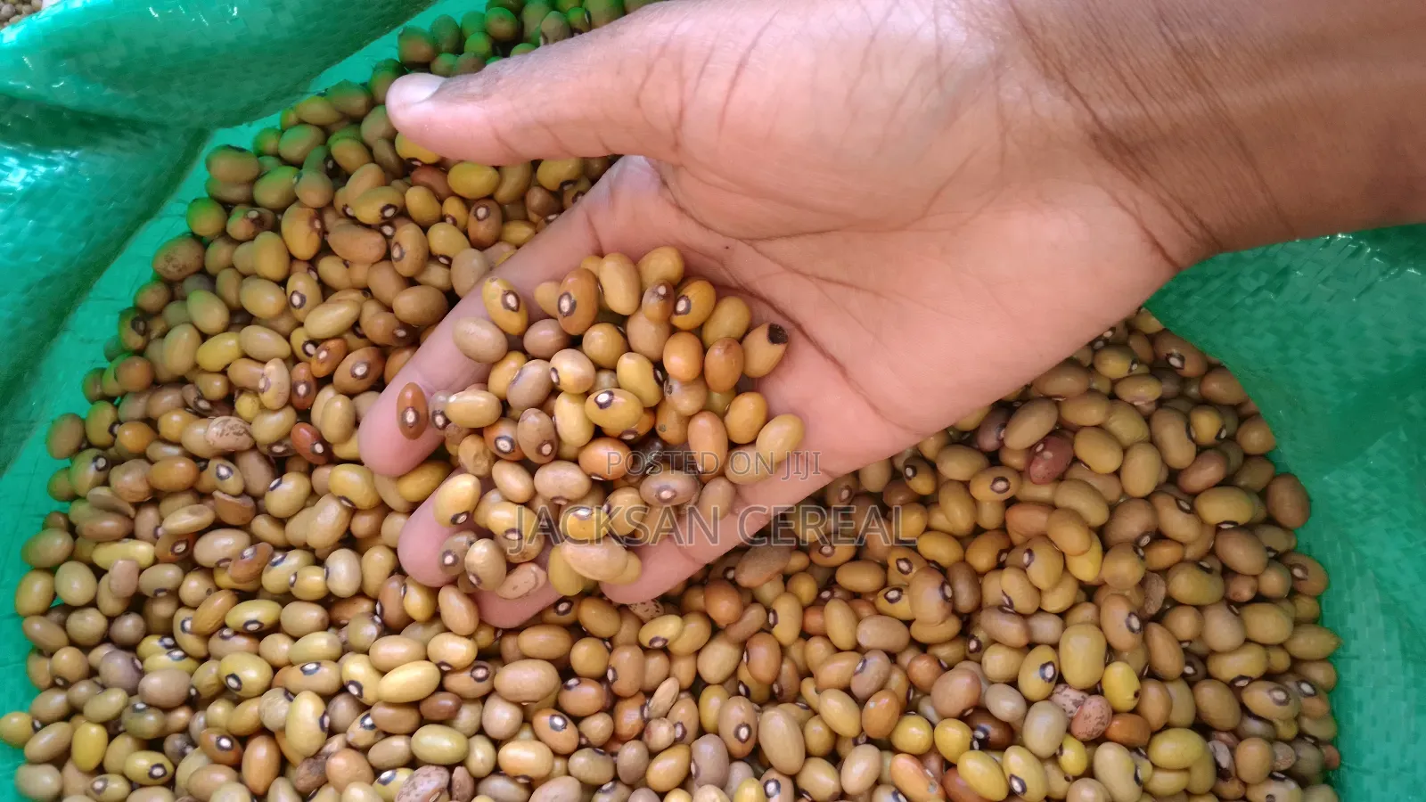 Yellow Beans 1kg at 180