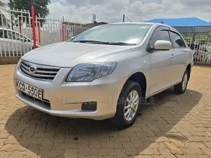 Toyota Axio 2011 Silver