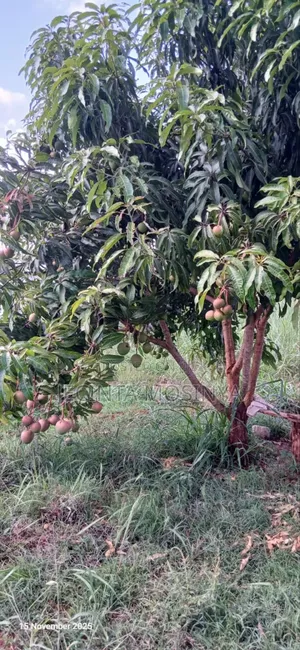 Sagana 3 Acres on Sale