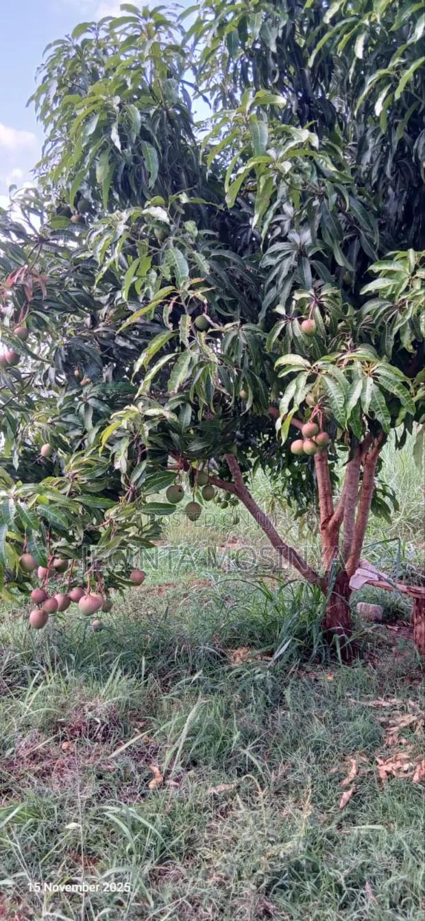 Sagana 3 Acres on Sale - thumbnail 4