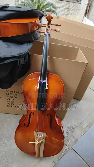 Violin Sound Instrument