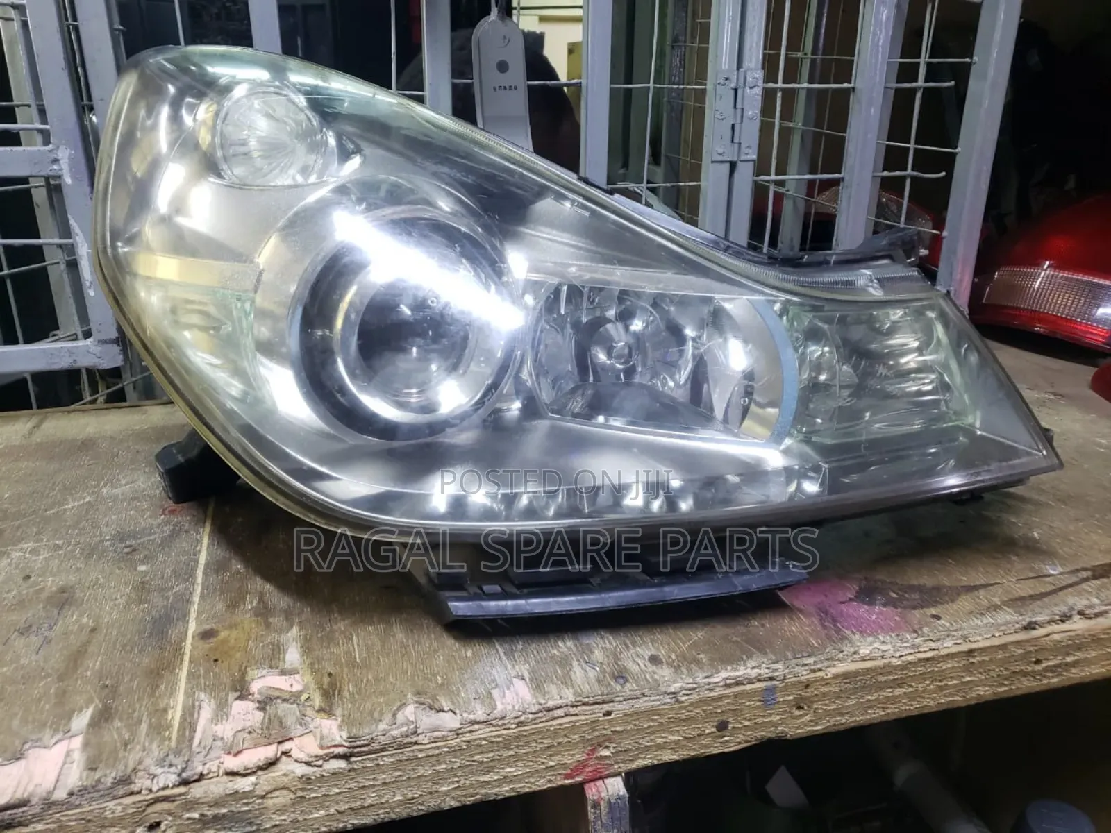 Wingroad Y12 Xenon