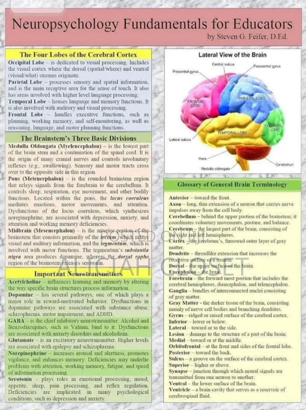 Counselling Services