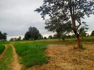 Prime Land for Sale in Juja