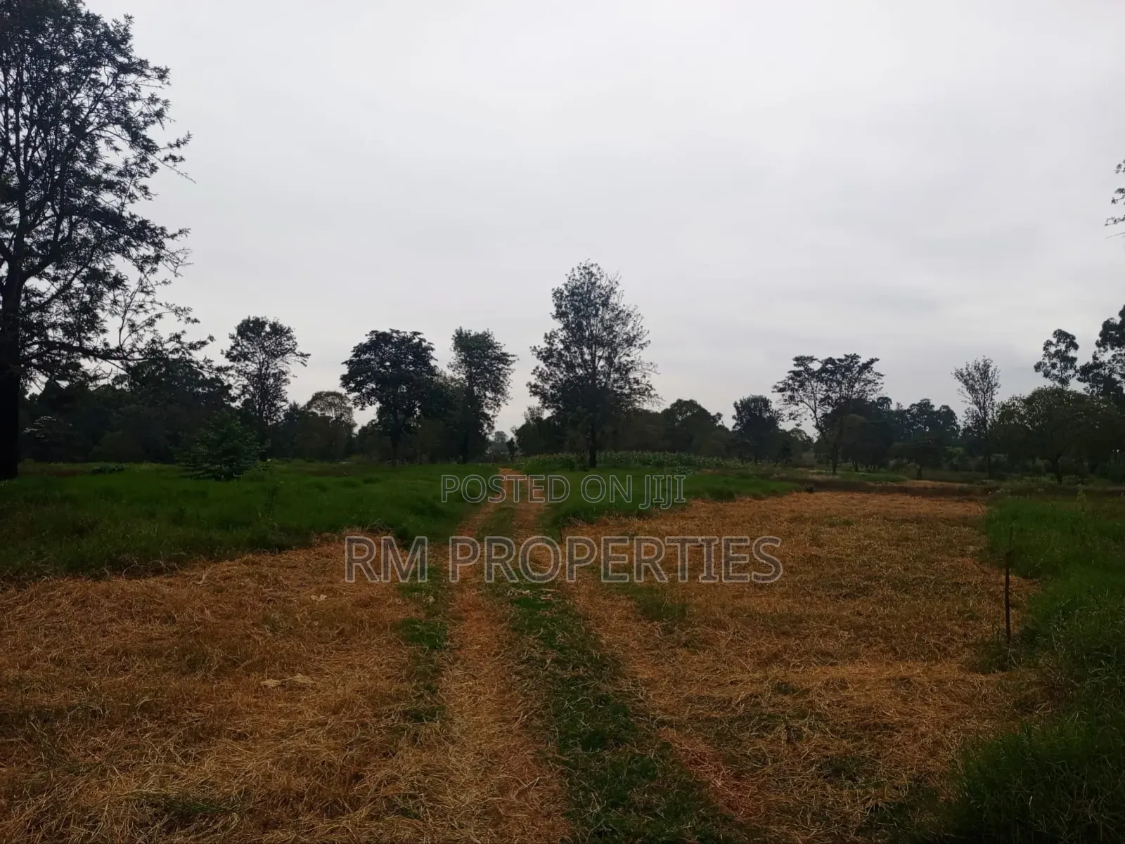 Prime Land for Sale in Juja