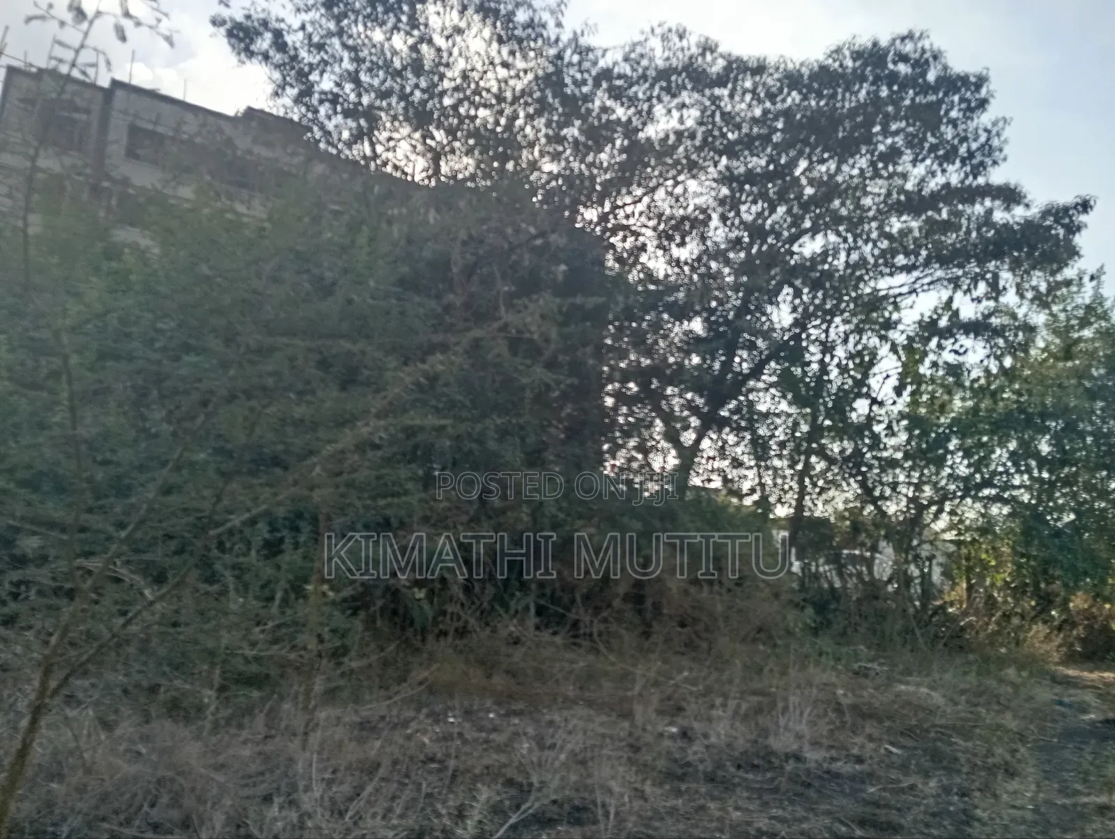 A Very Prime Commercial 50ft by 100ft Near the Tarmac Road.