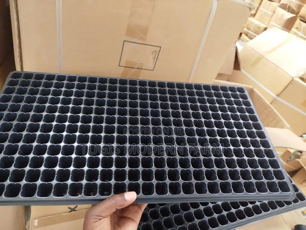 Plastic Seedling Planting Trays - From 62 Holes To 288 Holes