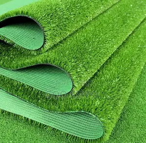 Home Carpet; Durable Artificial Carpet for Indoor Gym and Sports Use