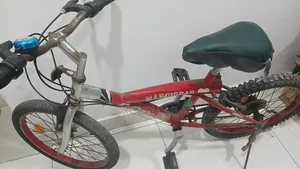 Bicycle for Boys