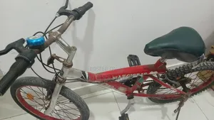 Bicycle for Boys
