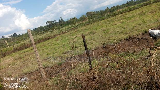 Kitengela Millimani - main view