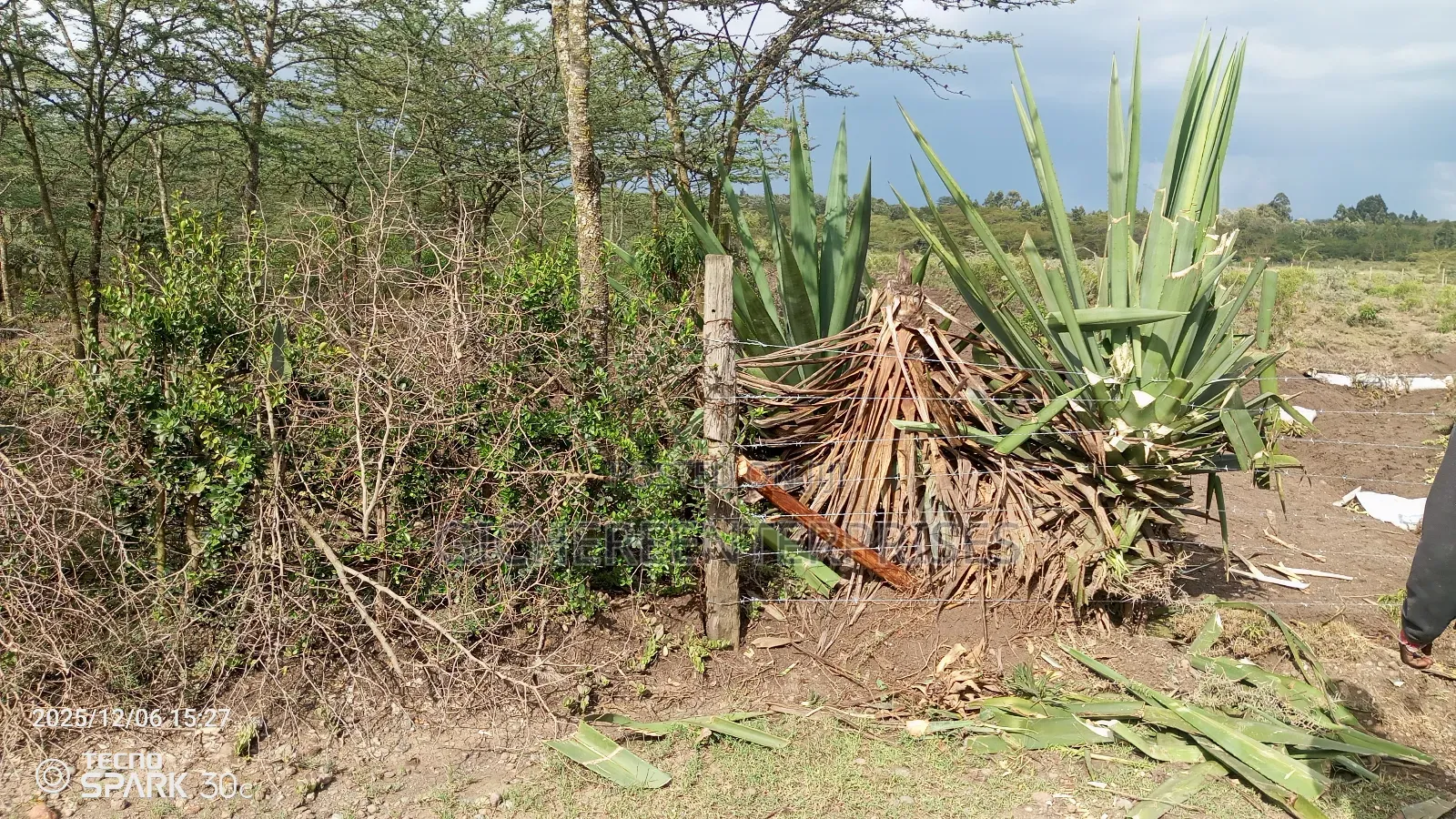 Kitengela Millimani