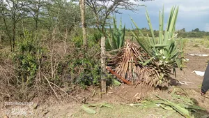 Kitengela Millimani