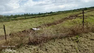 Kitengela Millimani