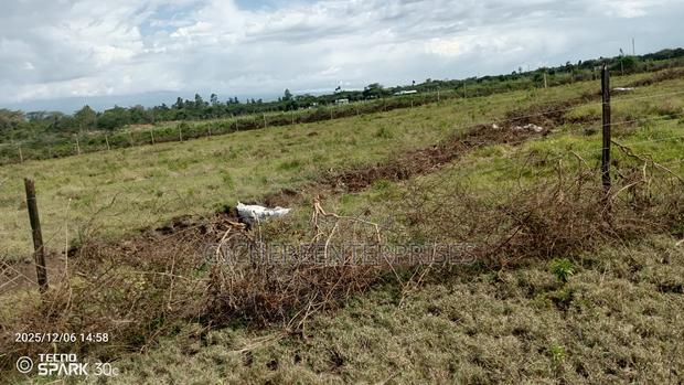 Kitengela Millimani - thumbnail 5