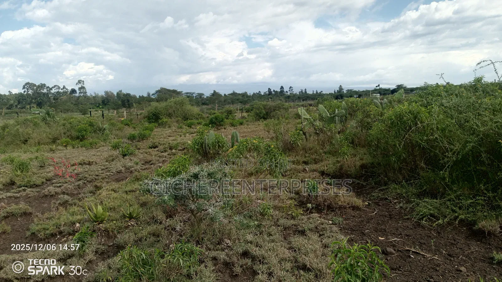 Kitengela Millimani