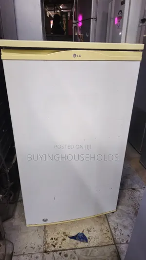Lg 100l Fridge