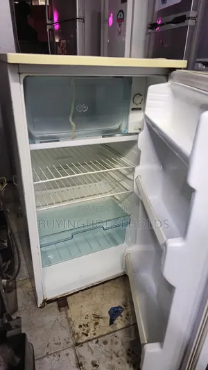 Lg 100l Fridge