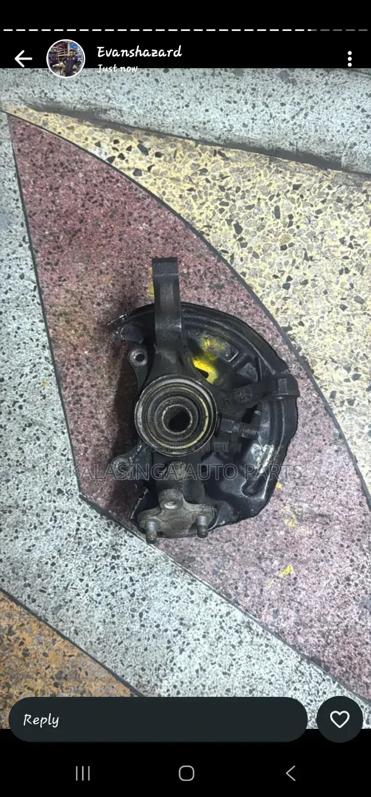 Premio Nyoka Hub Bearing