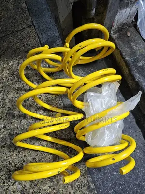 Corolla Fielder Coil Springs
