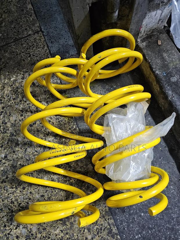 Corolla Fielder Coil Springs