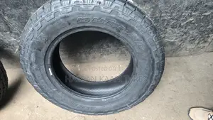 225/70r17 Bredgstone Tyre