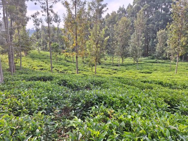 5acres Murang'a County Kangema - thumbnail 2