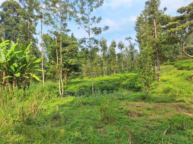 5acres Murang'a County Kangema - thumbnail 6