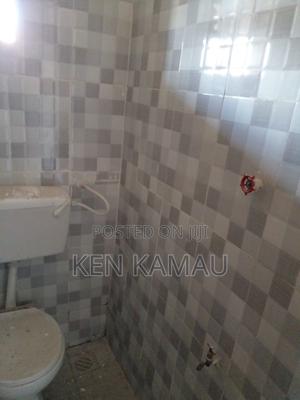 1bdrm Bedsitter in Free Area, Nakuru for rent - main view