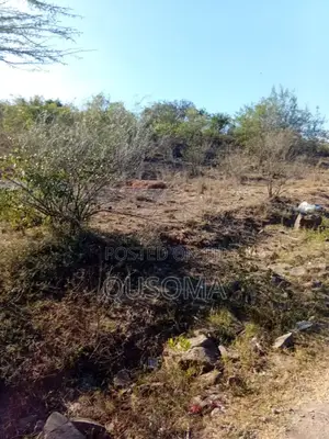 Prime 25-Acre Development Opportunity in Ongata Rongai